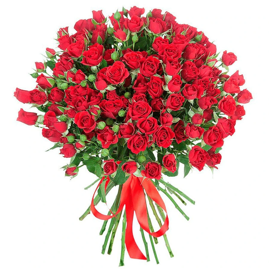 Розы Кустовые